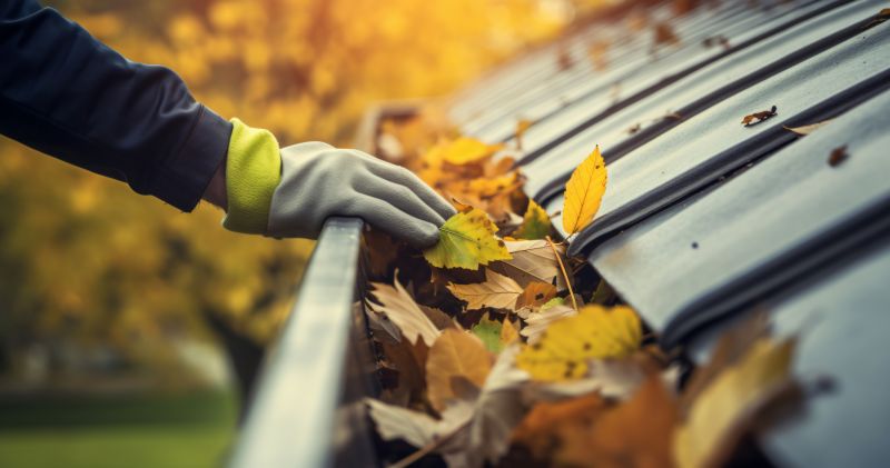 Autumn Waterproofing Benefits